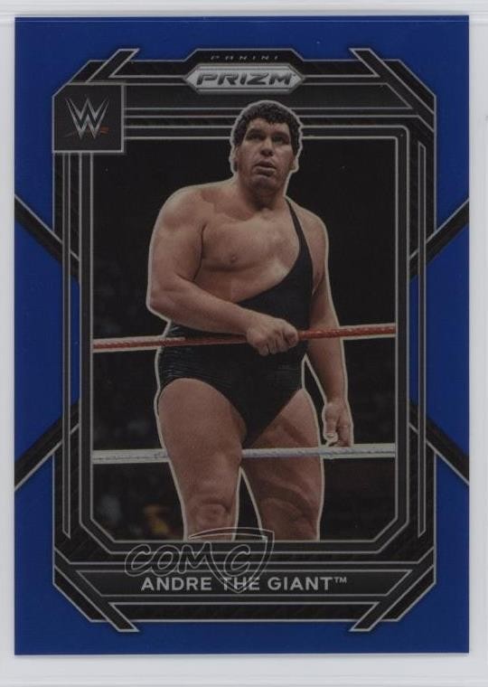 2023 Panini Prizm WWE Blue Prizm 19/199 Andre the Giant #159 HOF 16n7