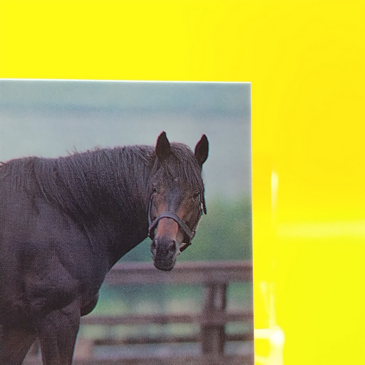 Hishi Masaru / Thoroughbred Horse Racing Card Vintage TCG BANDAI