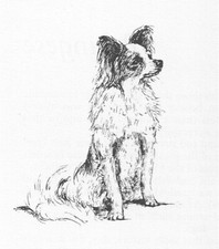 Papillon #1 - CUSTOM MATTED - 1963 Vintage Do...