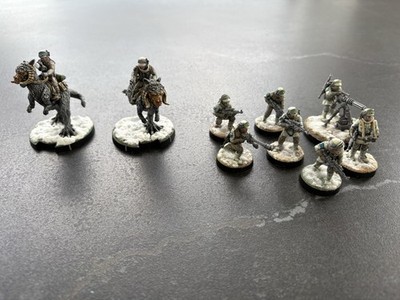 Star Wars Legion Tauntaun und Rebellen Veteranen bemalt