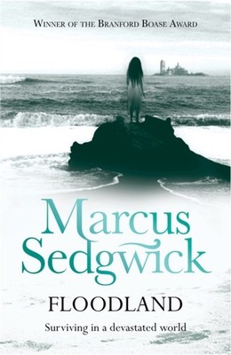 FLOODLAND by SEDGWICK MARCUS Paperback Self Help Business