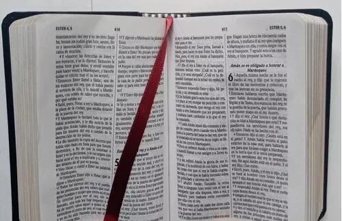 Bíblia mini bolsillo Reina Valera 1960 piel imitación canto dorado - Image 3 of 4