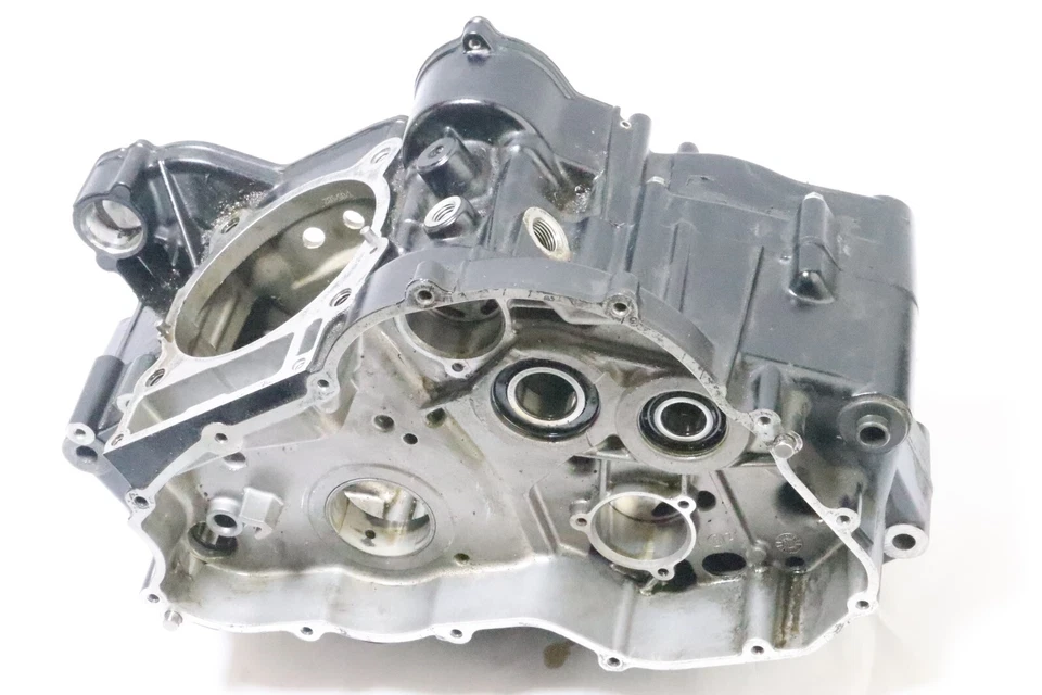 07 BMW G650 g 650 X Challenge g Engine Motor Case Block 6610784 Foto 4 de 4