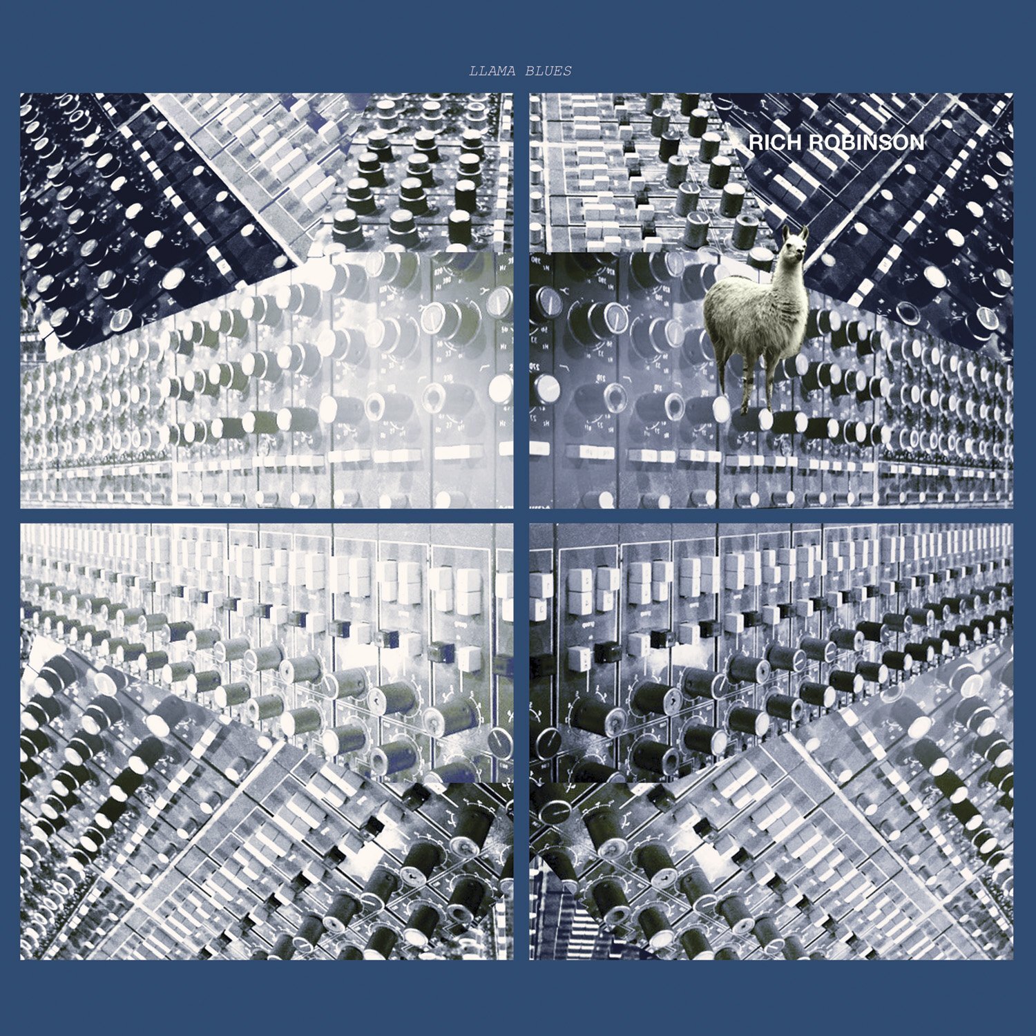 Rich Robinson Llama Blues EP (Vinyl LP)