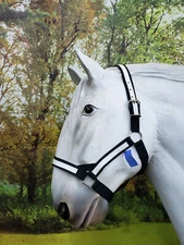 American Made draft horse halter BLACK with WHITE overlay fits over size drafts