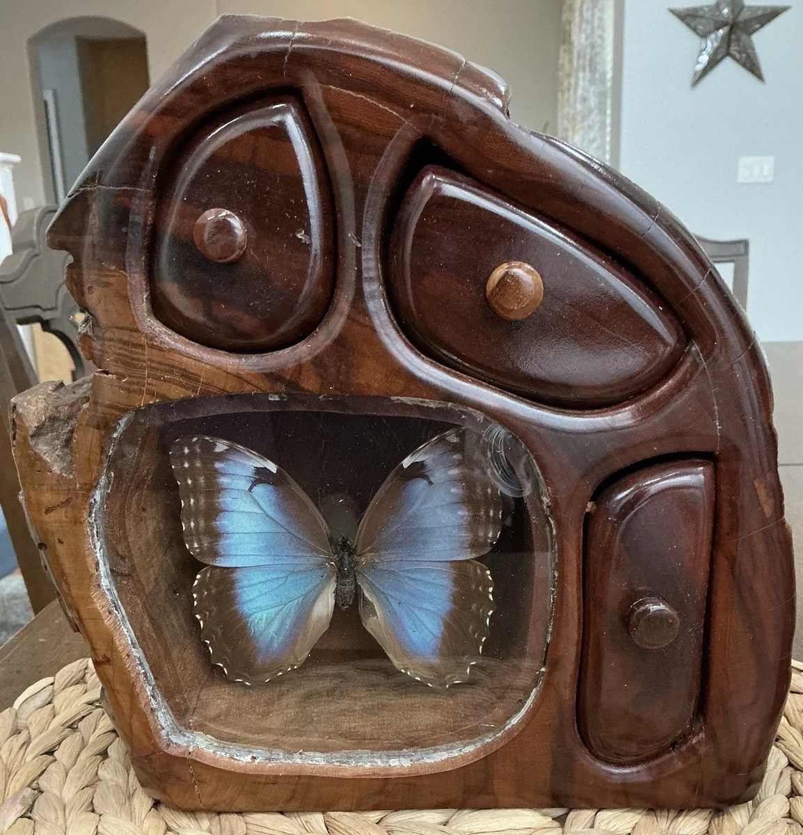 蓝色Morpho 蝴蝶| eBay 蓝色Morpho 蝴蝶| eBay
