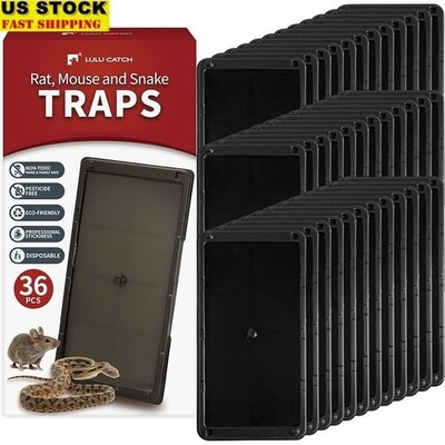 Heavy Duty Mouse Rat Snake Glue Traps Non-Toxic Sturdy Design Easy to Use