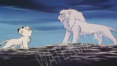 Kimba the white lion  father Leo High Quality Metal Magnet 2.25 x 4 inches 8940