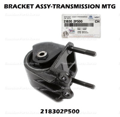 ⭐OEM⭐ Transmission Mount 218302P500(=218302P400) for Hyundai