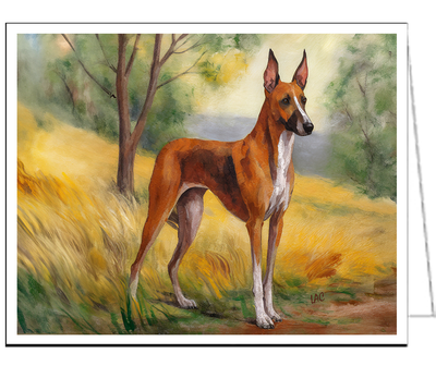 Azawakh Notecard Set: Embrace the Spirit of the Sighthound