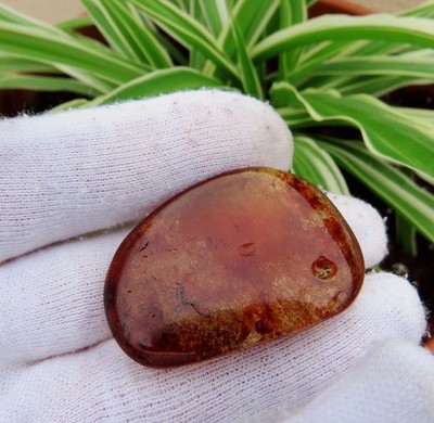 AMBAR with vegetable inlays, caramel color 7.5 grs