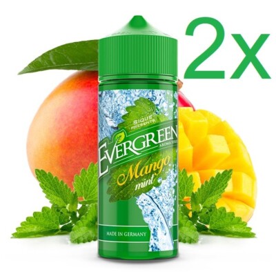 2 x Evergreen Aroma Mango Mint je 8ml für je 120ml E-Liquid