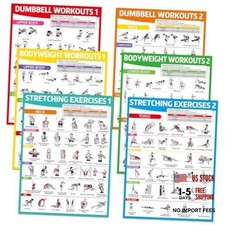 6PCS Workout Posters for Home Gym Dumbbell Bodyweight Stretching Colorful