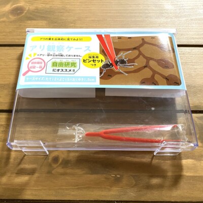 Container For Insect Study Ant Underground insect Breeding Observation Study Container | eBay