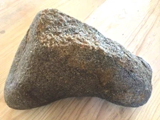 Large per mineralized dinosaur bone piece