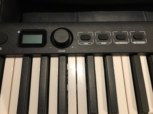 Eastar EP-10 Portable Foldable Digital, 88 Key, Full Size Keyboard With Pedal - Picture 3 of 14