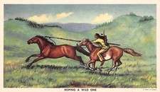 Wild One From An Original Oil Painting Andrew Standing Soldier 1949 Postcard