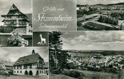 Postcard Stammheim Black Forest (No.9188)