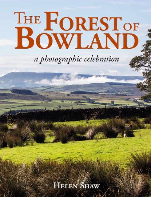 Forest Of Bowland