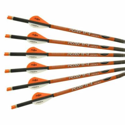 Lot de 6 flèches en carbone Ravin 400 de 20 pouces .001 | Sur