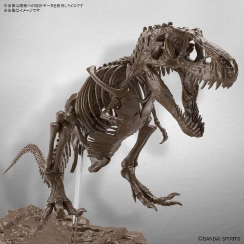 Bandai Imaginary Skeleton Tyrannosaurus T-Rex 1/32 Scale Educational Model  Kit