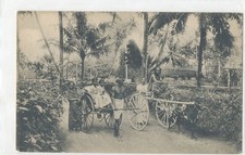  on The Hot Collector