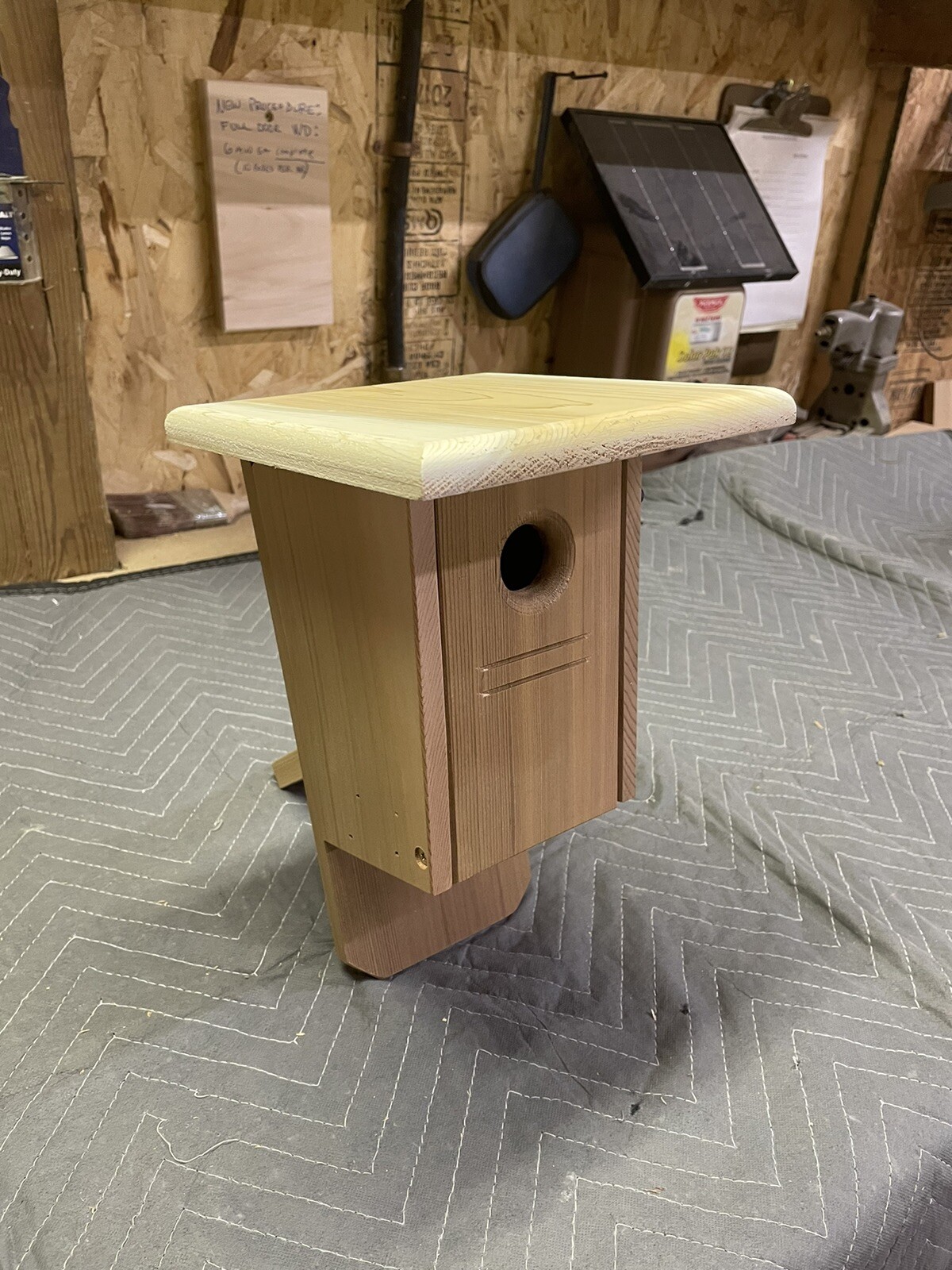 House Wren nesting box eBay
