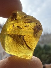 Wunderschönes Baltische Bernstein mit Organischen Inklüsen ca. 3,61gr.