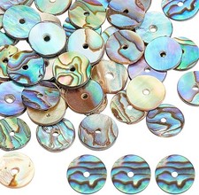 40 Pieces Natural Abalone Shell Beads, 10mm Flat Round Coin Beads, Shell Char...