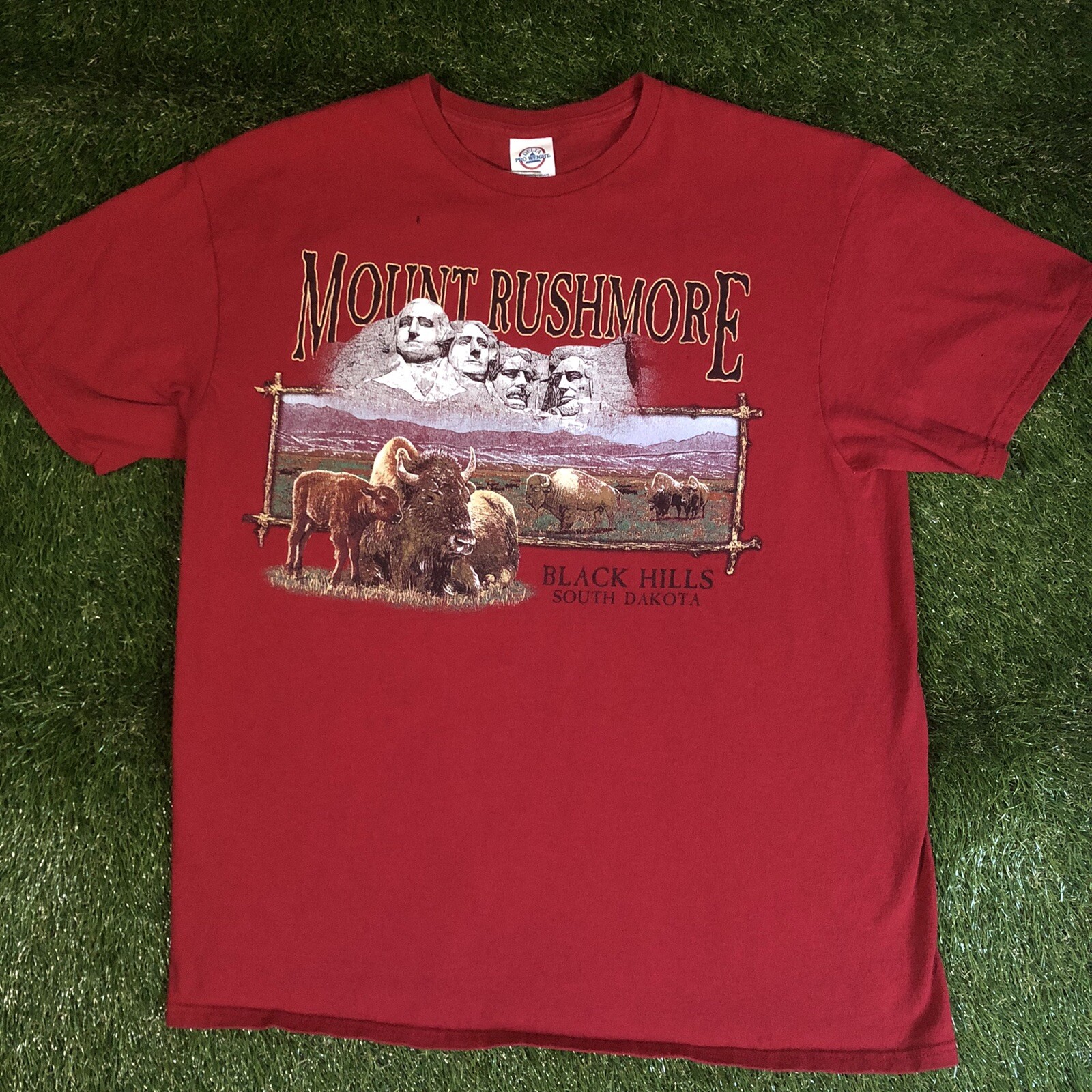 VTG Delta Mount Rushmore Black Hills South Dakota Red… Gem