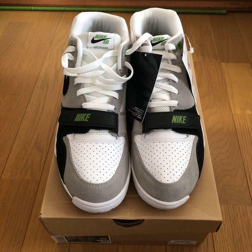 Nike SB Air Trainer 1 ISO, medium grey / black white / chlorophyll | Beyond