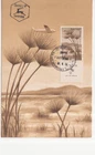 012- Israel 1954 Aimail 450 Kiriyat Shemona  Maxim card FDC