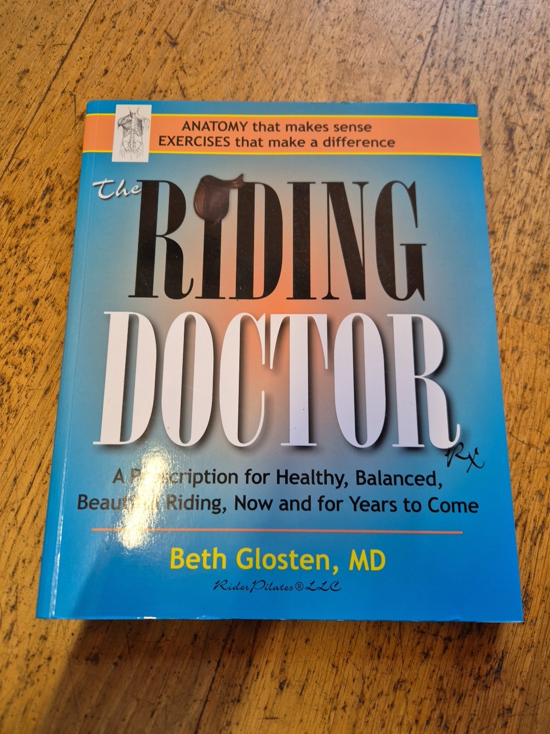 The Riding Doctor Beth Glosten Anatomy exercises horse riding horses equine