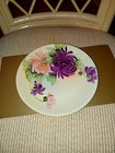Bavarian Hand Painted Plate, 8 diameter, can't read mark — photo 2