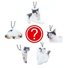 Random White Calico Realistic Cat Collectible Keychain Stanley Cup Charm