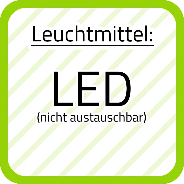 Bild 6 von 12