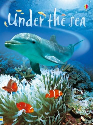 Under the Sea (Usborne Beginners), Patchett, Fiona, Good Condition, ISBN 9780746