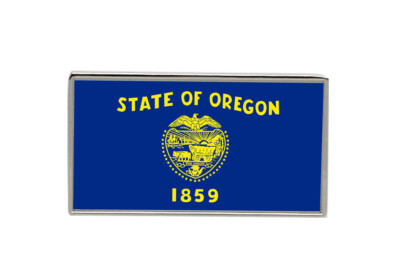 Oregon USA Flag Anstecknadel Abzeichen
