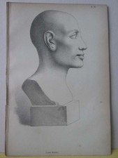 Vintage Print,EGYPTIAN PROFILE,Races of Earth,1868
