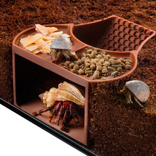 Hermit Crab Habitat Shelter with Dual Bowls, 2-in-1 Cave Shelter  Feeding Dish