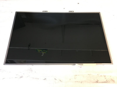 AU Optronics 17'' Glossy Screen B170PW06 V.2 - Tested