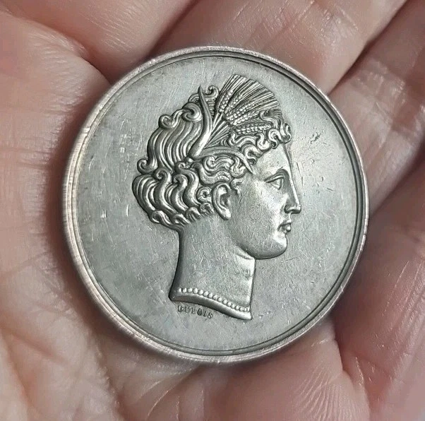 Médaille Ancienne : Comice Agricole D'Arnay Le Duc 1885 - XIXème Siècle, état Voir Photo