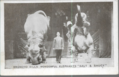 SELTENE POSTKARTE - BRONCHO BILLS WUNDERBARE ELEFANTEN ''SALT & SAUCY'' BIRMINGHAM 1923