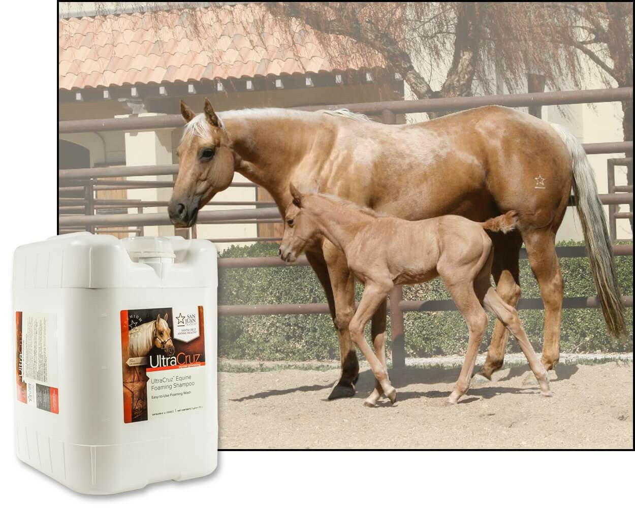 UltraCruz Equine Foaming Horse Shampoo, 5 Gallon Refill