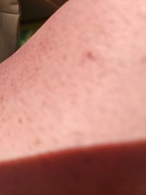 Legendary Wings NES (Nintendo Entertainment System, 1988) 