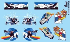 Gofer Racing 11060 1/24 Scale Truck And Van Murals Decal