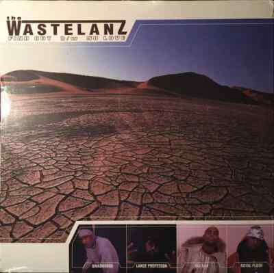 Wastlanz Find Out / No Love Vinyl Single 12inch NEAR MINT Large Entertainment