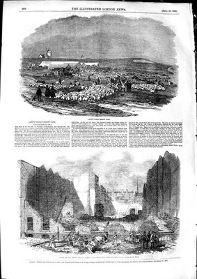 Original alter antiker Druck 1850 Lewes Great Sheep Fair Fire Park Lane London