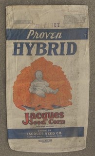 Vintage Jacques Hybrid Seed Corn Baby Sitting in Ear Corn Pile Prescott WI Sack