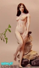 UANDD UD 1:6 Medium Bust Girl 12" Female Action Figure Body Soldier Doll Model